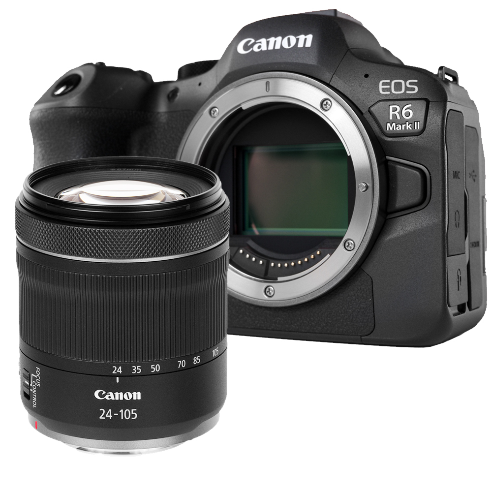 ショット数10106枚■ほぼ新品■ CANON EOS 6D Mark II Canon EOS 6D Mark II DSLR Camera By FedEx | eBay